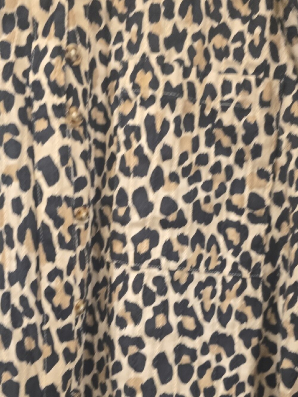 Pilcro Leopard Print Shirt in Cream and Black - Picture 4 of 8